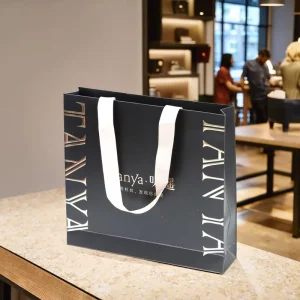 Individuell bedruckte umweltfreundliche Boutique Einzelhandels Luxus Einkaufsgeschenktüte mit Satinbandgriff für Schuhe & Kleidung
