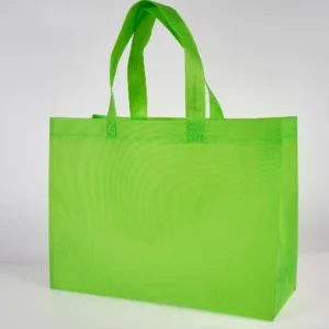 Sac de courses réutilisable personnalisé, écologique, non tissé, avec poignées, 70gsm 80gsm, sac en PP non tissé