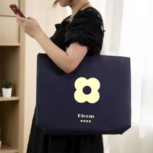 Sac de shopping en tissu non tissé personnalisé du fabricant, emballage réutilisable, sac en tissu non tissé