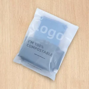 Milieu vriendelijke Frosted Plastic Ziplock Zak Verpakking Kleding T-shirt Zip Lock Garment Zak Met Aangepast Logo