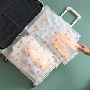 Bolsa de plástico con cierre hermético para ropa, ecológica, bolsa de ziplock de plástico esmerilado