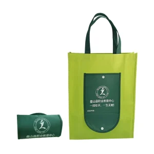 Sac pliable non tissé réutilisable écologique avec poignée, impression personnalisée, sac non tissé pliable pour emballage de shopping, cadeau