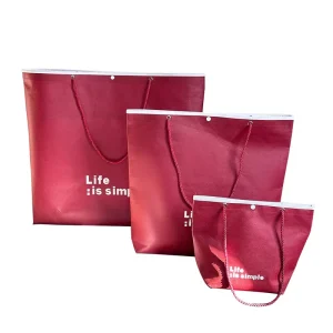 Vente directe d'usine Sac non tissé durable avec cordon, sac non tissé imprimé personnalisé pour emballage et courses