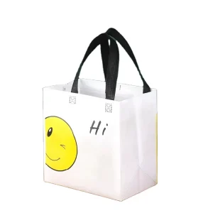 Kleine Größe Umweltfreundliche Stofftasche Individuell Laminierte Vliesstoff-Tragetasche für Unternehmen