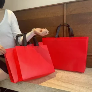 Sac à main non tissé recyclable et imperméable avec impression de logo pour emballage de magasin de vêtements et cadeaux