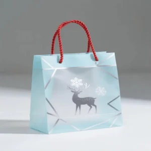 Saco de Presente de Plástico Personalizado Impresso, Embalagem Clara, Saco de Compras Retail OEM ODM