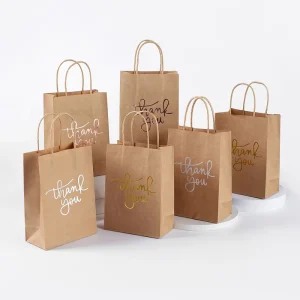 Túi Giấy Mua Sắm Kraft Có Logo Tùy Chỉnh Đóng Gói Quà Tặng Mỹ Phẩm Quần Áo Cưới Cảm Ơn