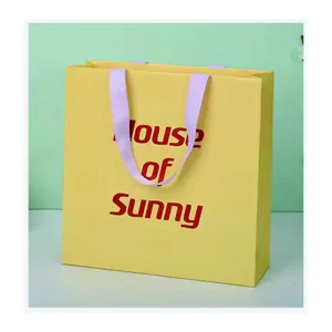 HER AILIN Borsa di carta per abbigliamento premium, ecologica, per confezioni alla moda, borsa regalo minimalista