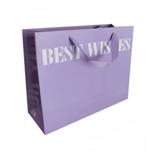 Borsa di carta per shopping di lusso con logo stampato personalizzato, grande capacità per imballaggio di abbigliamento, con manici