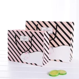 Borsa di carta per shopping stampata con logo del marchio di abbigliamento, riciclabile