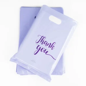 Schnelle Lieferung benutzerdefinierte Logo schwere Plastiktüte mit Stanzschnitt für Autoteile Geschenk Bekleidung Einzelhandel Verpackung