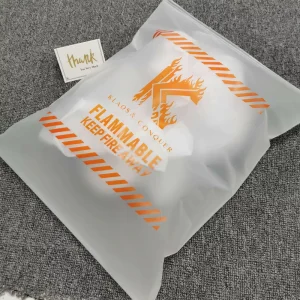 Zip Lock Biodegradable Custom Printed Logo Silk Screen Printing Hot Stamping Clear PE Frosted Plastic Bag Apparel Packaging