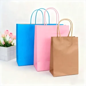 Sacs en papier kraft certifiés en gros, avec poignées torsadées, adaptés pour le shopping, l'artisanat, les boutiques, les desserts, le café, les sacs de rangement cadeaux